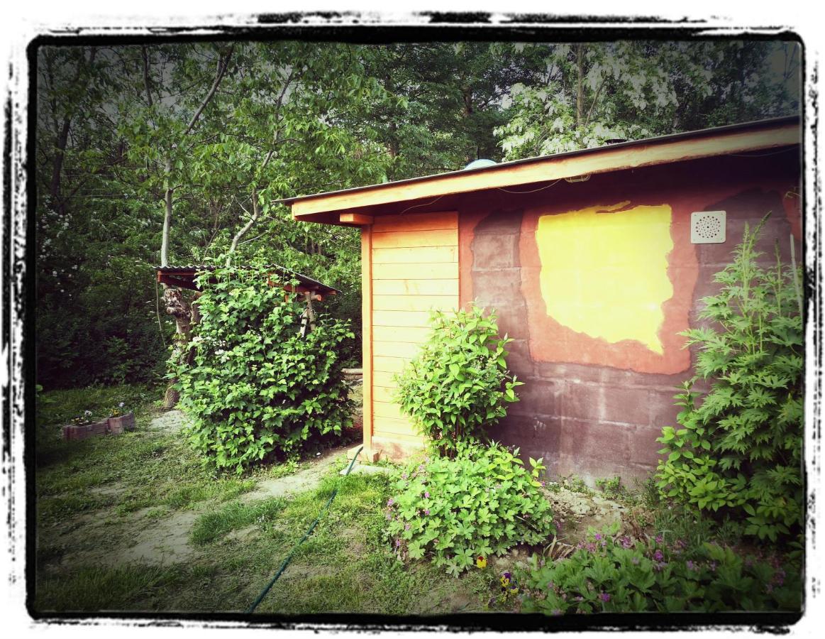 Rancho Relaxo Czartoria * Miaczyn