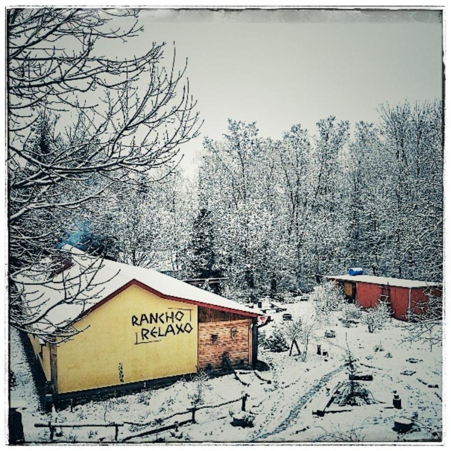Rancho Relaxo Czartoria *
