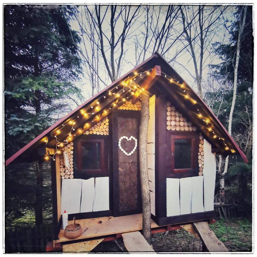 Rancho Relaxo Czartoria Farm stay Miaczyn